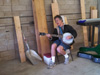 SteveBanjo